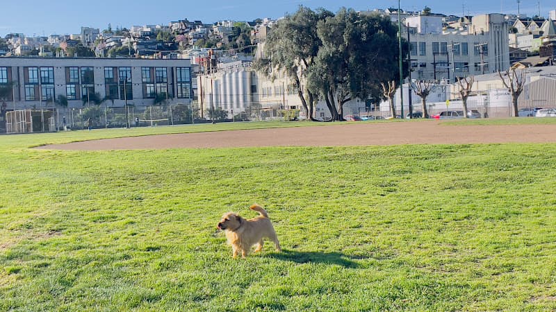 Dog Park Jackson Playground San Francisco