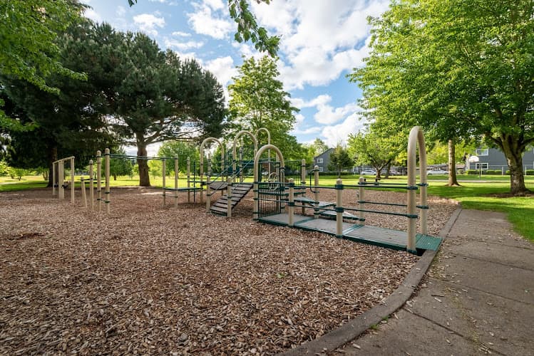 Dog Park Jaggy Road Park Vancouver