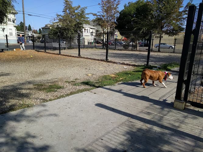 Dog Park Jefferson Square Park Oakland