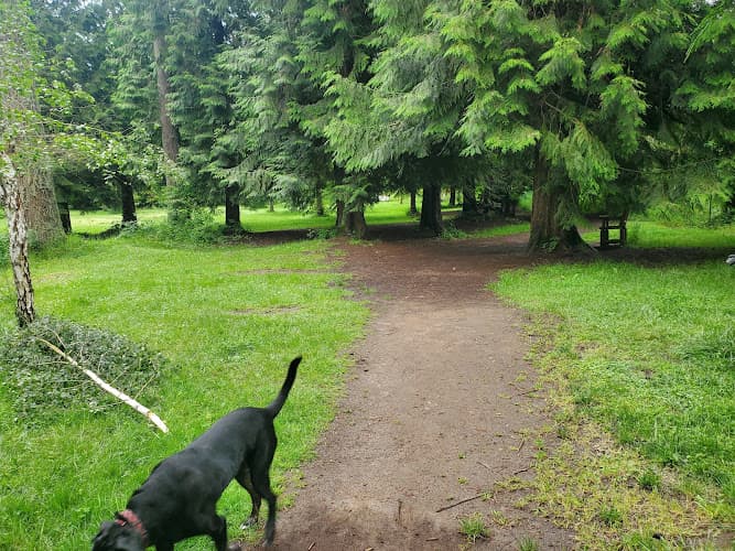 Dog Park Kane Memorial Dog Park Gresham