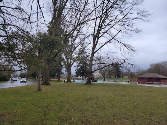 Dog Park Kenton Park Portland