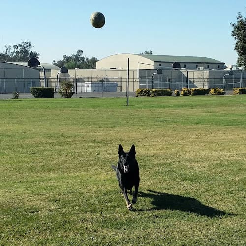 Dog Park Kimball Park Ontario