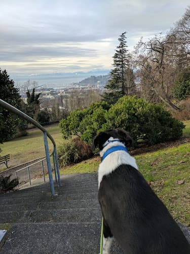 Dog Park Kinnear Park Seattle