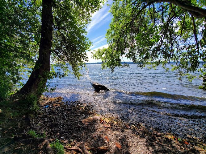 Dog Park Kiwanis Park Kirkland