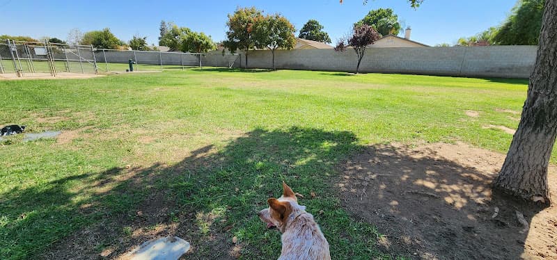 Dog Park Krebs Dog Park Bakersfield