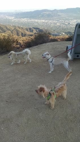 Dog Park La Tuna Canyon Park Burbank