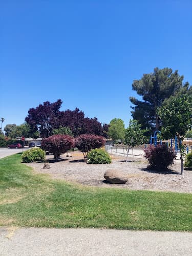 Dog Park Lakewood Park Sunnyvale