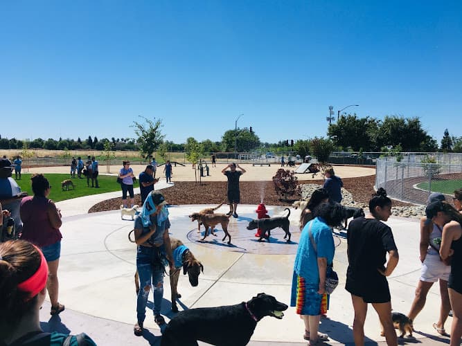 Dog Park Large Dog Park Sacramento