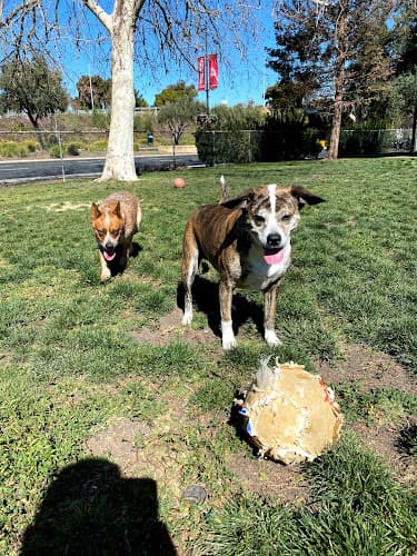 Dog Park Larry J Marsalli Dog Park Santa Clara
