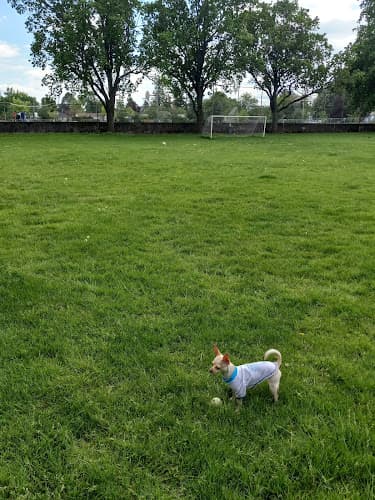 Dog Park Lents Park Portland