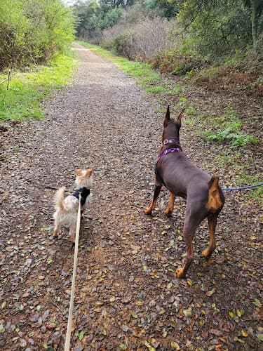 Dog Park Leona Canyon Trail Head Oakland