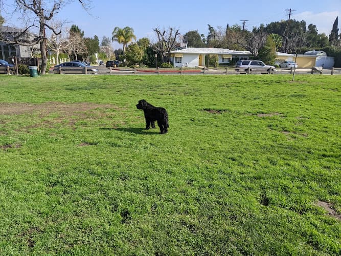 Dog Park Libbit Park Burbank