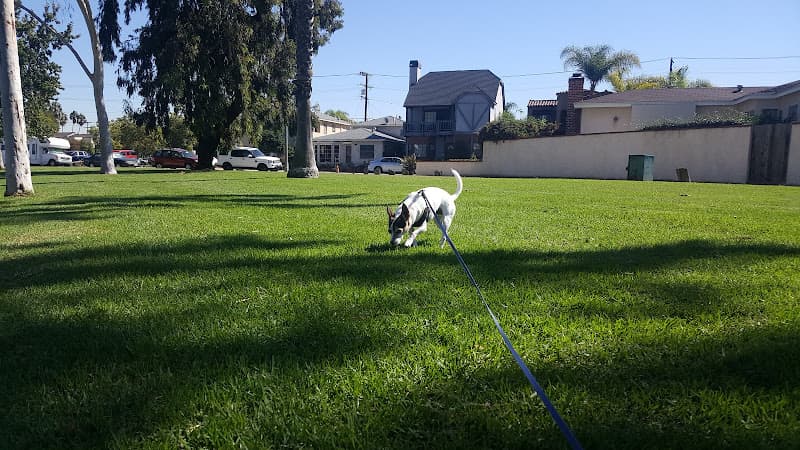 Dog Park Livingston Drive Park Carson