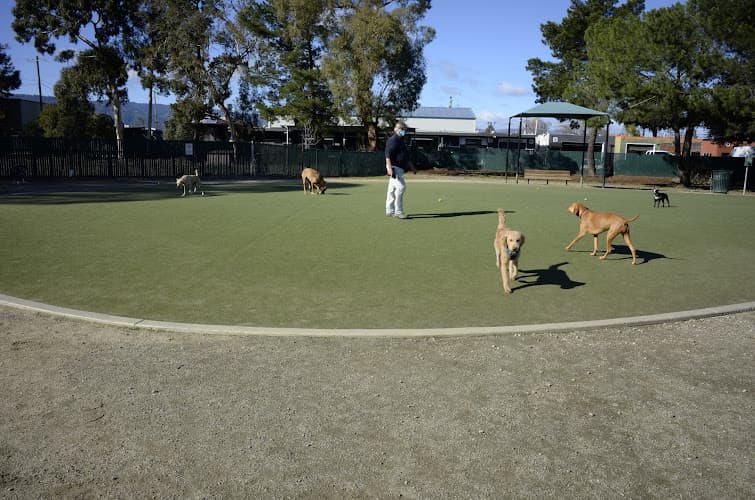 Dog Park Los Gatos Creek Dog Park Santa Clara