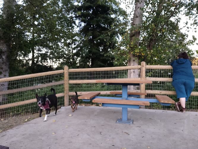 Dog Park Lowell Riverfront Dog Park Everett