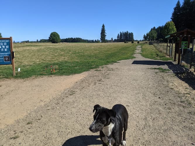Dog Park Lucky Memorial Dog Park Gresham