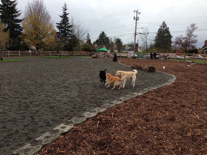 Dog Park Magnolia Manor Park Kirkland