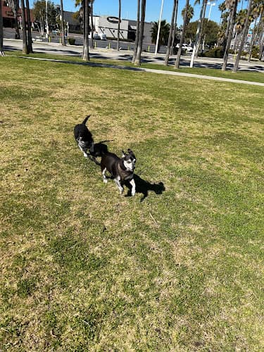 Dog Park Marina Green Long Beach