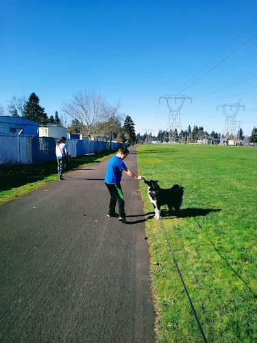 Dog Park Meadow Homes Park Vancouver