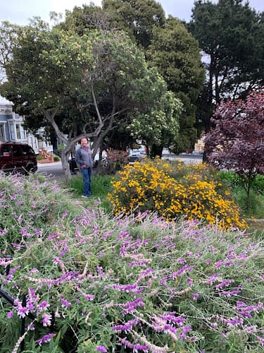 Dog Park Merritt Park San Francisco