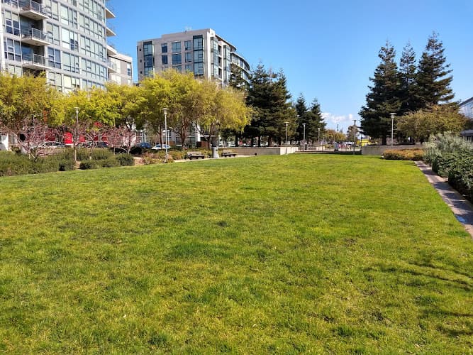 Dog Park Mission Bay Commons San Francisco