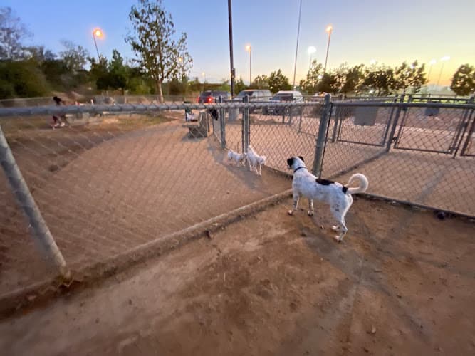 Dog Park Mount San Miguel Dog Park El Cajon