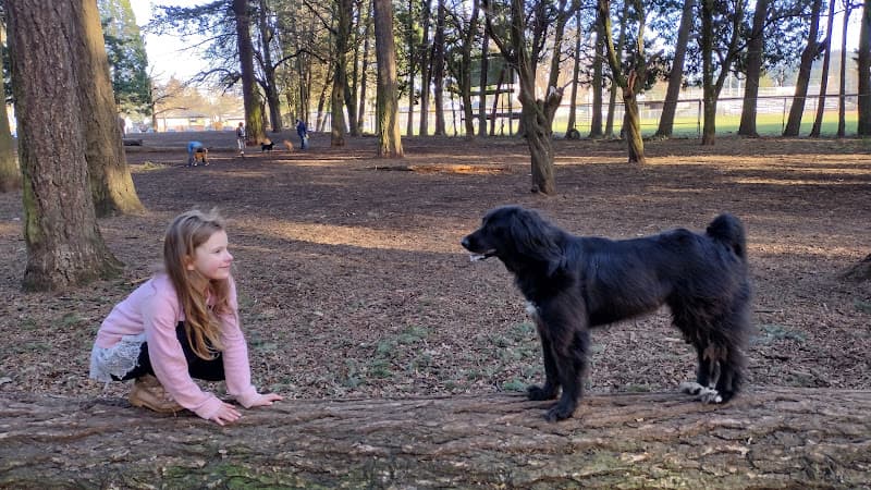 Dog Park Normandale Park Gresham