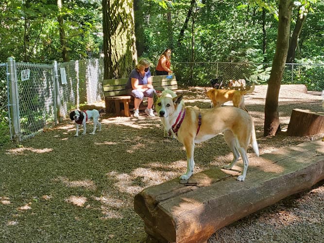 Dog Park Northacres Park & Spraypark Kirkland