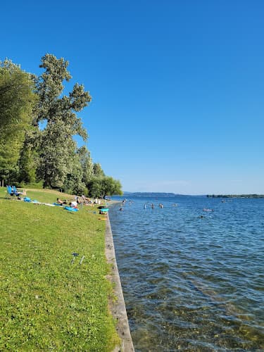 Dog Park O. O. Denny Park Kirkland