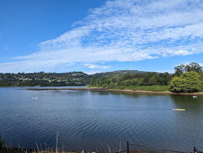 Dog Park Oaks Bottom Wildlife Refuge Portland