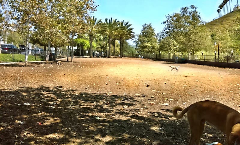 Dog Park Oberrieder Dog Park Inglewood