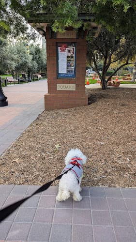 Dog Park Ontario Town Square Ontario