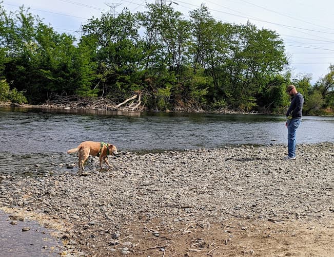 Dog Park Paradise Beach Sacramento