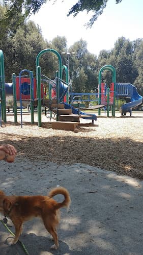 Dog Park Patterson Park Jurupa Valley