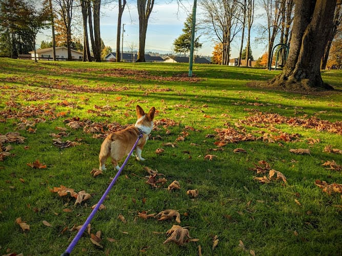 Dog Park Philip Arnold Park Renton