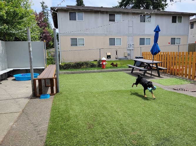 Dog Park Pints and Pups Everett