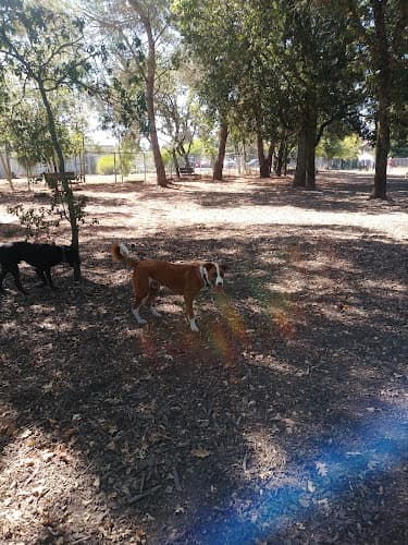 Dog Park Pleasant Oak Park Santa Rosa