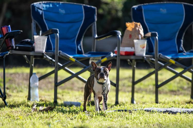 Dog Park Prado Recreation Ontario
