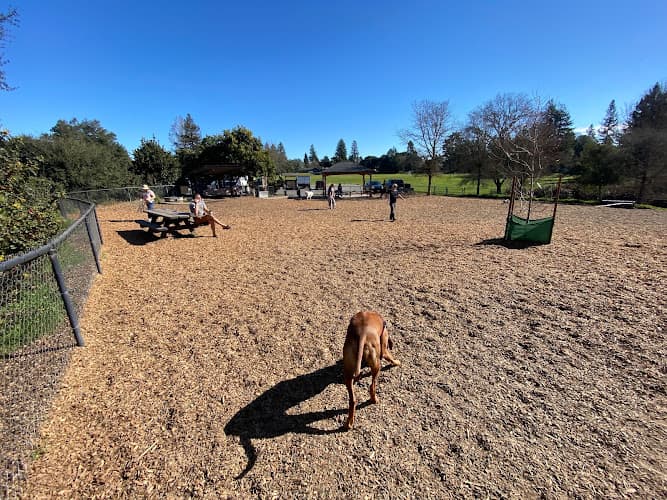 Dog Park Ragle Ranch Dog Park Santa Rosa
