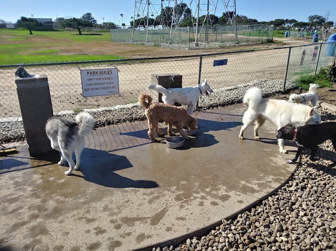 Dog Park Redondo Beach Dog Park Inglewood