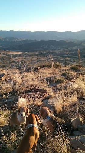 Dog Park Ritter Ranch Park Lancaster