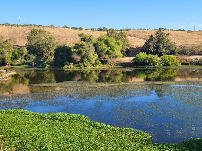 Dog Park Riverbottom Park Fresno
