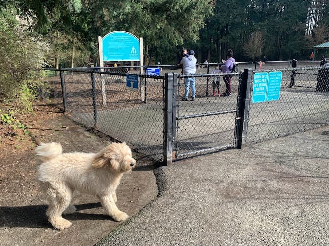 Dog Park Robinswood Off-Leash Area Kirkland