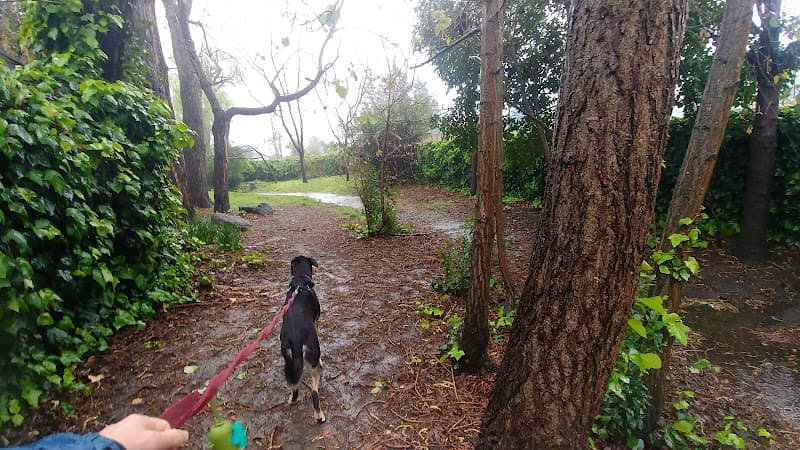 Dog Park Rockridge-Temescal Greenbelt Vallejo