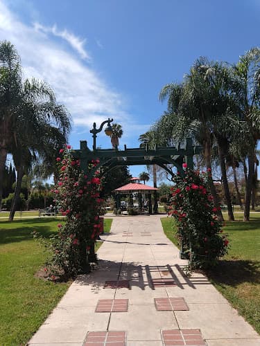 Dog Park Rose Park Long Beach