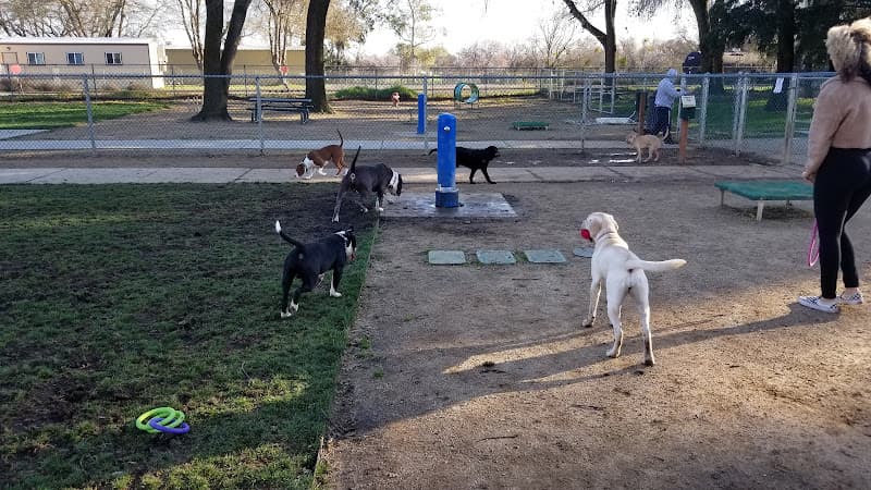 Dog Park Sam Combs Park Sacramento