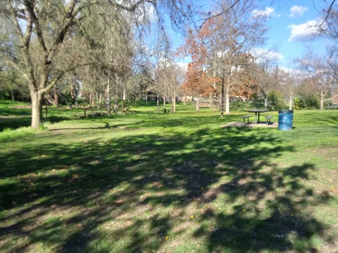 Dog Park Santa Anita Park Sacramento
