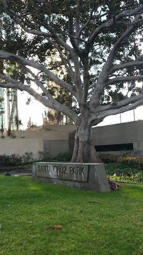 Dog Park Santa Cruz Park Long Beach