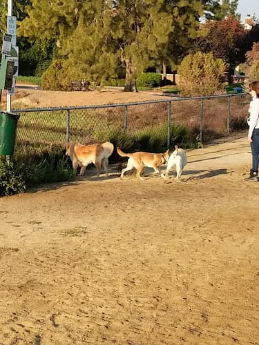 Dog Park Shore Dogs Park Sunnyvale
