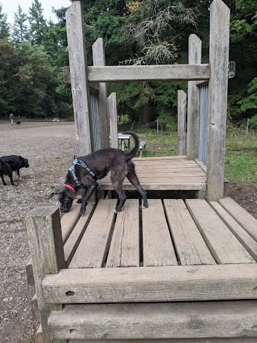 Dog Park Shoreview Park Off Leash Area Dog Park Renton